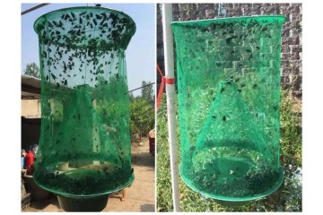 Капан за мухи-foto3