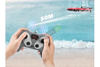 Лодка с дистанционно-foto4