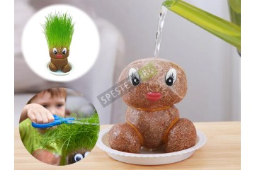 Чичко Тревичко 