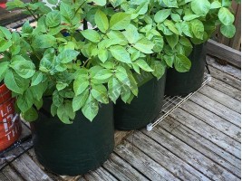 2бр. Текстилна кашпа-foto2