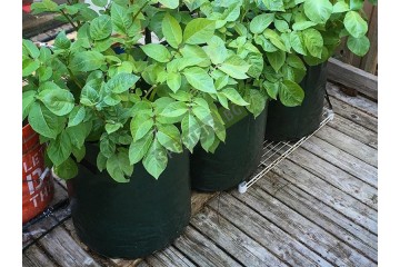 2бр. Текстилна кашпа-foto2