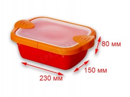 Кутия с двойно заключване-foto4