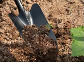 Комплект градински инструменти за плевели-foto4