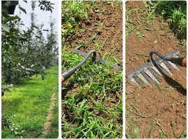 Градински инструменти за плевели-foto4