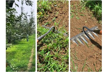 Градински инструменти за плевели-foto4