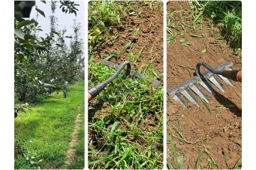 Градински инструменти за плевели-foto4