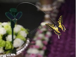 Соларна летяща пеперуда-foto4