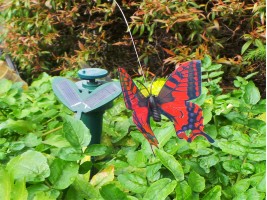 Соларна летяща пеперуда-foto2