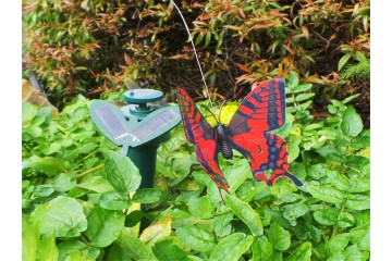 Соларна летяща пеперуда-foto2