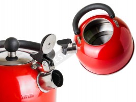 Свирещ чайник-foto2