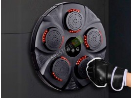 Бокс тренажор-foto3