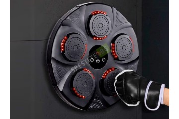 Бокс тренажор-foto3