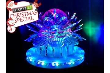 Диско крушка цвете